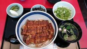 鰻 本丸 信長丼